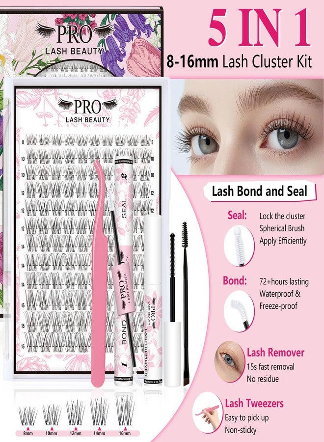 برو لاش بيوتي مجموعة برولاش بيوتي لتجميع الرموش الطبيعية، مجموعة فينوس لتجميع الرموش الرقيقة للغاية وغير المرئية، تم استخدامها 10 مرات مع مزيل ملقط لاصق الرموش الشفاف (مجموعة فينوس، 8-16 مزيج) - Image 5